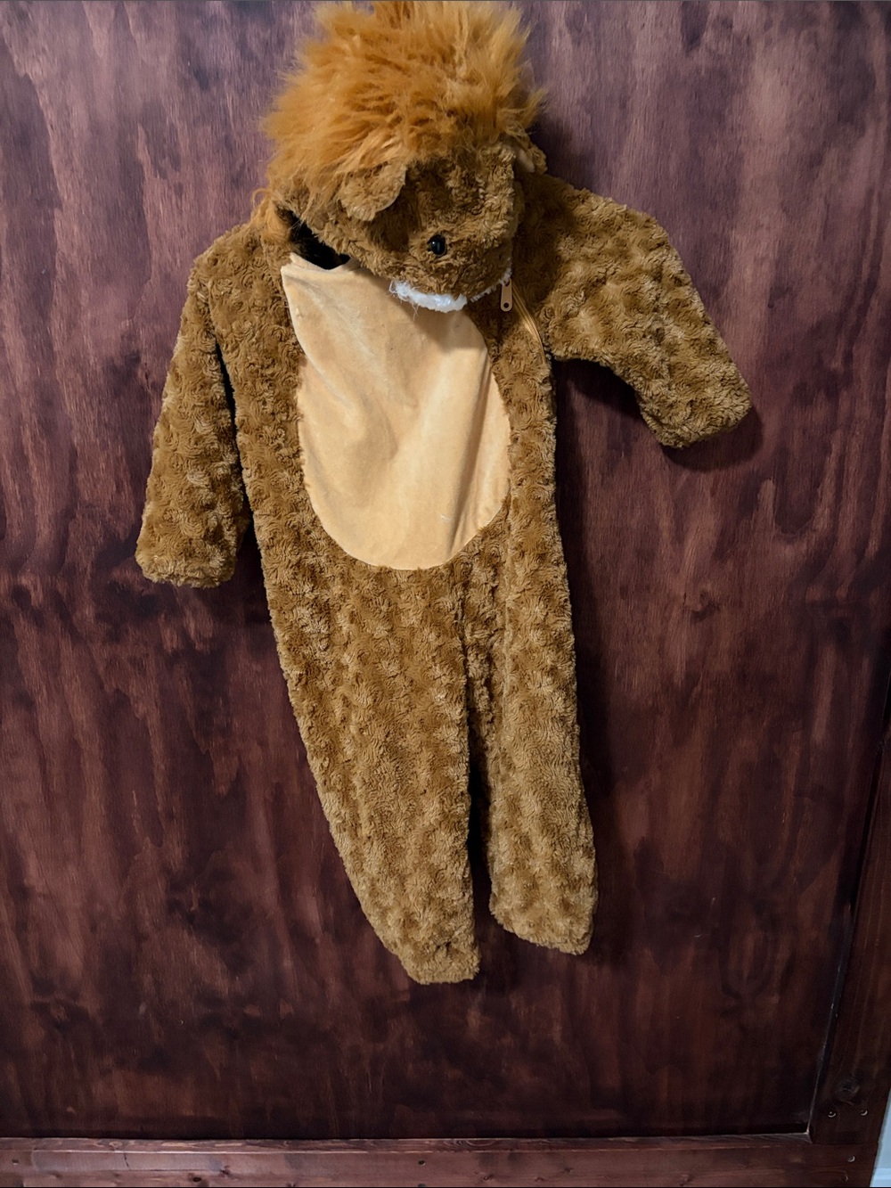 Kids Brown Plush Lion One-Piece Costume